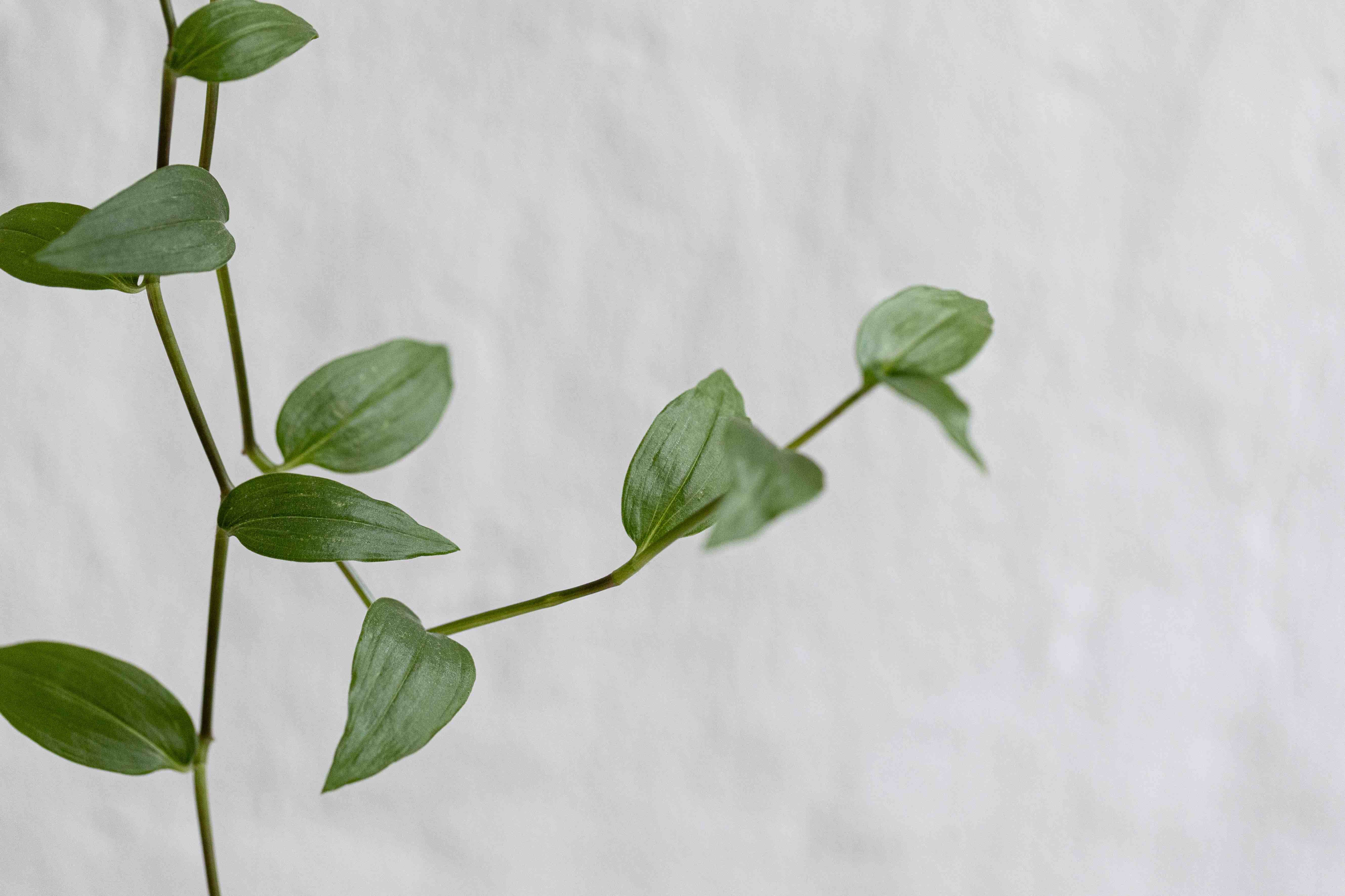 Notfallinformationen in der Praxis